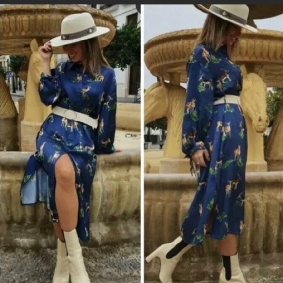 Zara animal dress! - Picture 3 of 3